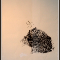 Lot's wife/Contemplation II (2014)